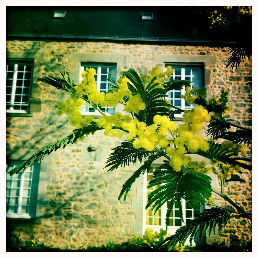 Manoir De La Grand'Cour Bed and Breakfast Soulgé-sur-ouette Buitenkant foto